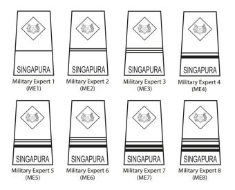 military expert rank equivalent.